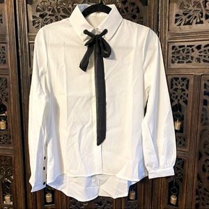 Ascot tie neck blouse
